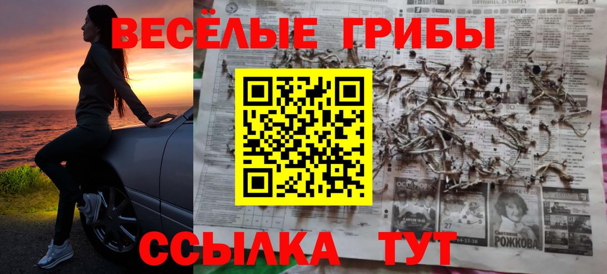 Галлюциногенные грибы Cubensis Саянск