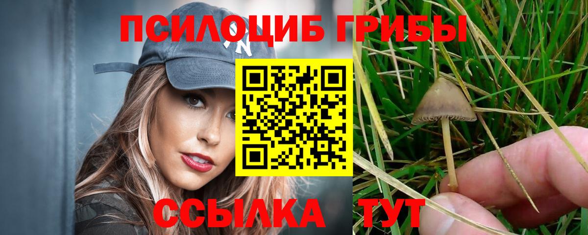 Псилоцибиновые грибы Psilocybine cubensis  Вход с VPN  Саянск 